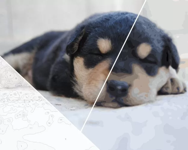 Custom Paint by Numbers Kits Example